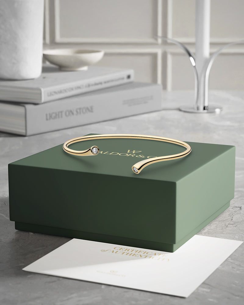 Delight Bangle Polished